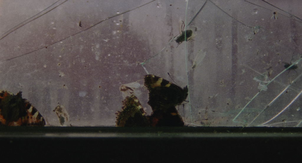 gallery-02.png